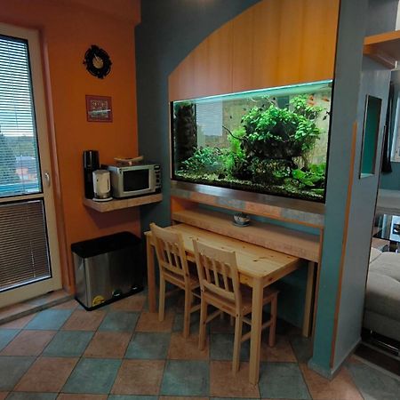 Suk Apartman 24 Suchdol nad Luznici Dış mekan fotoğraf
