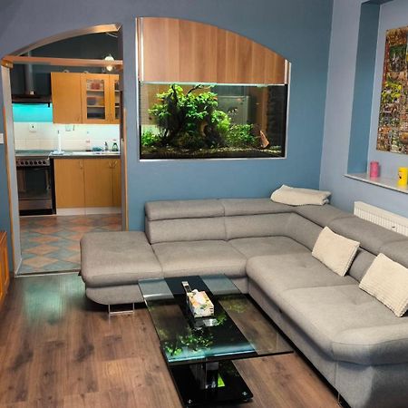 Suk Apartman 24 Suchdol nad Luznici Dış mekan fotoğraf